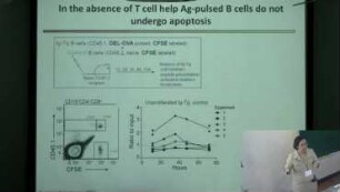 Wandering cells: dissecting spatio-temporal regulation of humoral immune response.