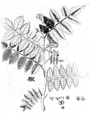 85
