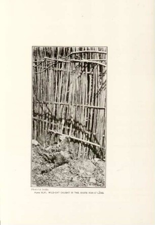Plate XLVI. Wild-cat caught in the snare Kok-o'-lâng