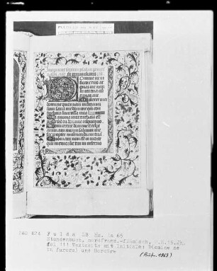 Stundenbuch, ad usum Romanum — Initiale D (omine) mit Rankenbordüre, Folio 111 recto
