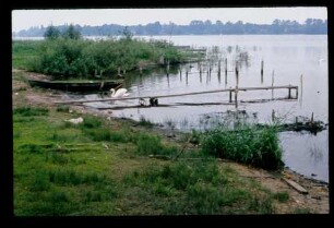 Werder/ Havel 6.6.79.