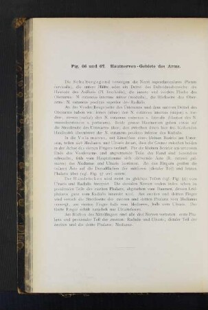 Fig. 66 und 67. Hautnerven-Gebiete des Arms.