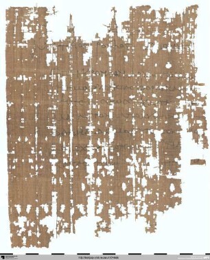 Brief des Präfekten