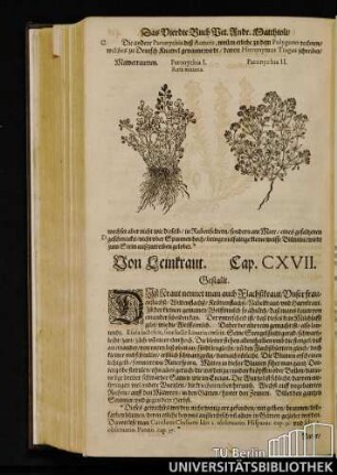 Cap. CXVII. Von Leinkraut.