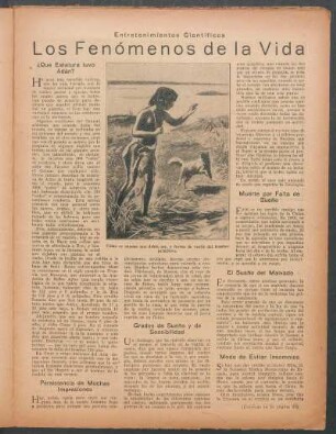 Los fenómenos de la vida