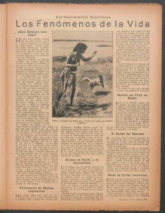 Los fenómenos de la vida