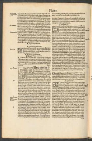 Incipit Naum propheta.