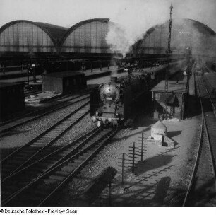Frankfurt am Main. Hauptbahnhof. Bahnsteighalle mit ausfahrendem Zug von Südwesten