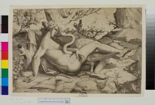 Leda und der Schwan