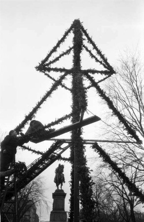 Christbaum-Experiment am Kaiserplatz.