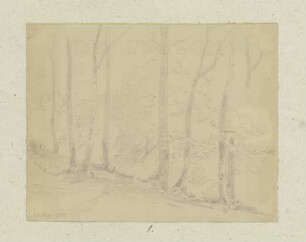 Waldpartie