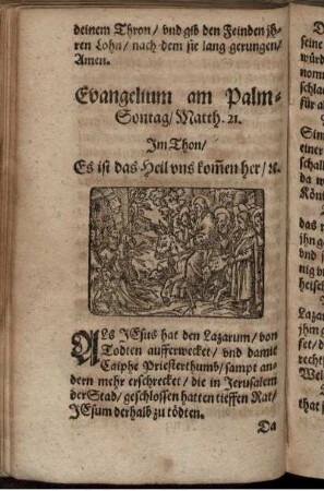 Evangelium am Palm-Sontag/ Matth. 21.