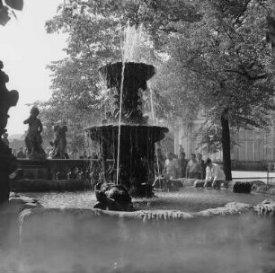 Dresden. Zwinger, Nymphenbad, Brunnen auf dem Walle