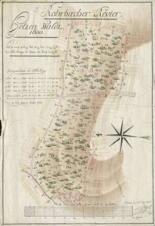Rohrbacher Revier. Hetzen Wald 1800