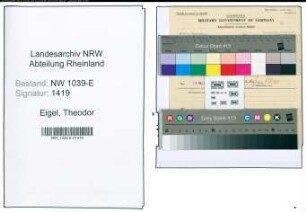 Entnazifizierung Theodor Eigel , geb. 00.00.0000 (Assessor)
