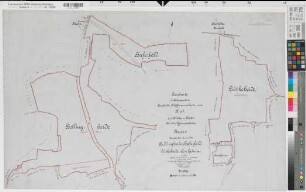 Werne (Werne), Teilung der Rohn- und Klefmannsheide, Bl.4 Reinkarte Bellingheide, Haferfeld, Lütkeheide, Oevelgönne