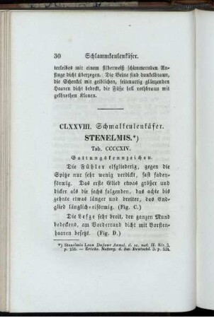 CLXXVIII. Schmalkeulenkäfer. Stenelmis.