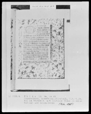 Stundenbuch, ad usum Romanum — Initiale D (eus) mit Rankenbordüre, Folio 84 recto
