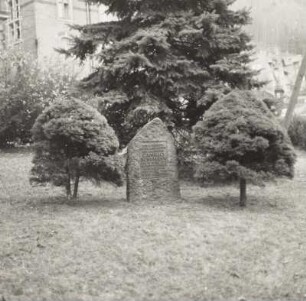 Gedenkstein für Camillo Schumann (1872-1946; Komponist und Organist) : Gedenkstein für Camillo Schumann (1872-1946; Komponist und Organist). Königstein (Sächsische Schweiz), bei Dresdner Straße 9