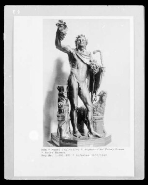 Sogenannter Fauno Rosso