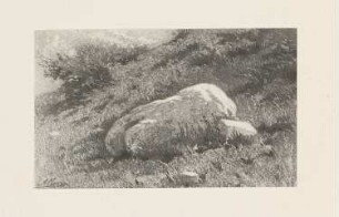 Principes élémentaires, Blatt 1 der Folge "Le paysage au fusain"