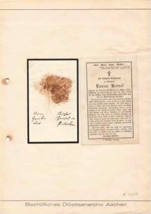 Hensel, Louise