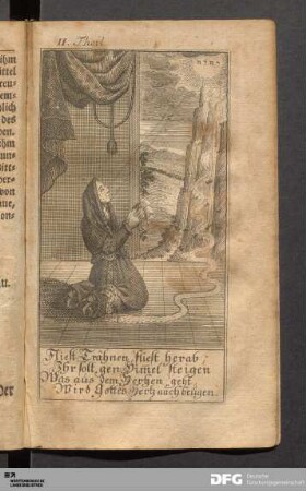 Der II. Theil. Frommer Wittwen Gebet-Buch.