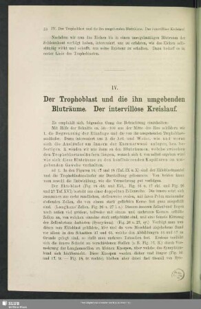 IV. Der Trophoblast und die ihn umgebenden Bluträume