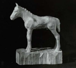Fohlen