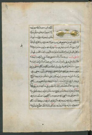 Illustration: Zwei goldene Skorpione