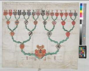 Proband: Velen, Ernst von; Vater: Velen, [Alexander] von; Mutter: Leerodt (Leradt), [Agnes] von: Paderborn, Domkapitel