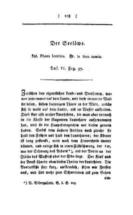 ¬Der¬ Seelöwe : Lat. Phoca leonina ; Fr. le lion marin ; Taf. VI, Fig. 37