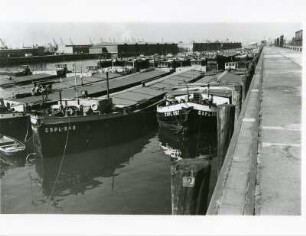 Hamburg. Moldau-Hafen. Tschechische Elbkähne liegen vor Anker.