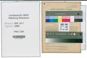 Entnazifizierung Carl Vest , geb. 04.03.1894 (Kaufmann)