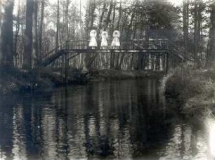 Brücke im Spreewald : Landschaft - Teiche und Flüsse. Ort: Błóta / Spreewald. Holzbrücke im Spreewald