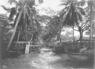 Rio Cobre-Kanal auf Jamaika : Weltreisen. Rio Cobre-Kanal auf Jamaika