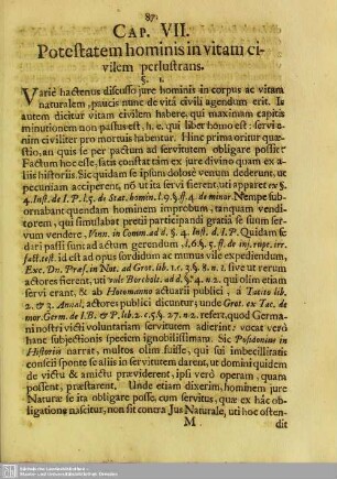 Cap. VII. Potestatem hominis in vitam civilem perlustrans