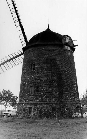 Thallwitz-Canitz. Turmholländer