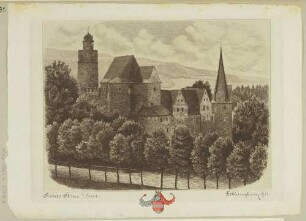 Das Schloss (Burg) Stein (Hartenstein-Stein) südöstlich von Zwickau am Ufer der Zwickauer Mulde, Blick aus nordwestlicher Richtung