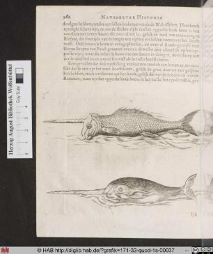 [Bysondere beschrijvinge van eenen Zee-Een-hoorn]