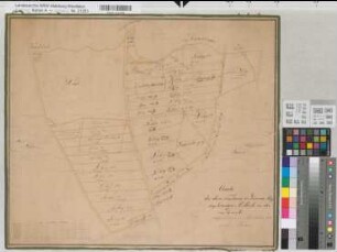 Davert Forstanteil der v. Kerckerinck-Borg Charte des dem Freiherrn von Kerckerinck Borg zugehörenden Antheils in der Davert 1839 100 rh. Ruten = 14,95 cm 49 x 58 kol. Zeichnung Barken Kerckerinck-Borg, Dep.