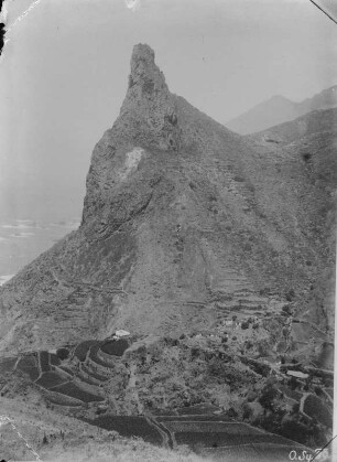 Terrassenfelder : Terrassenfelder an der Küste von Teneriffa
