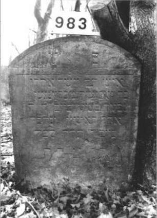 Grabstein 983 (Index: 99899533) Material: Sandstein Zustand: angewittert, unten stark verwittert Maße HxBxT: 92x64x7 cm Beschreibung: Stele mit Segmentbogenabschluss, im Bogenfeld Levitenkanne Symbolik: Levitenkanne: Grabstein 983 (Nachholaufnahme)