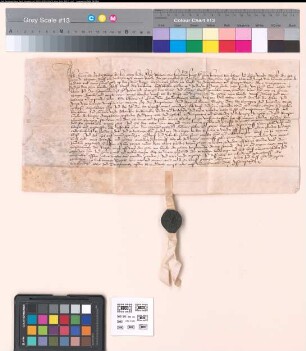 Gleicher Revers Gerts von Bodelschwingh