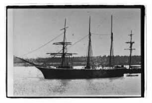 Adler (1866), Schulte & Bruns, Papenburg