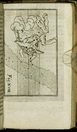 Fig. XVII.