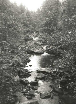 Unwetterkatastrophe im Osterzgebirge am 8./9. Juli 1927. Gottleubabett bei Zwiesel nach der Hochflut