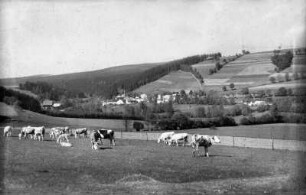 Blick von der Oberschaar auf Oberschmiedeberg