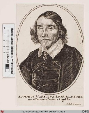 Bildnis Adolphus Vorstius