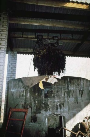 Fotografie: Ein- und Auslagerungstechnik, Hochsilo, Greiferanlage
